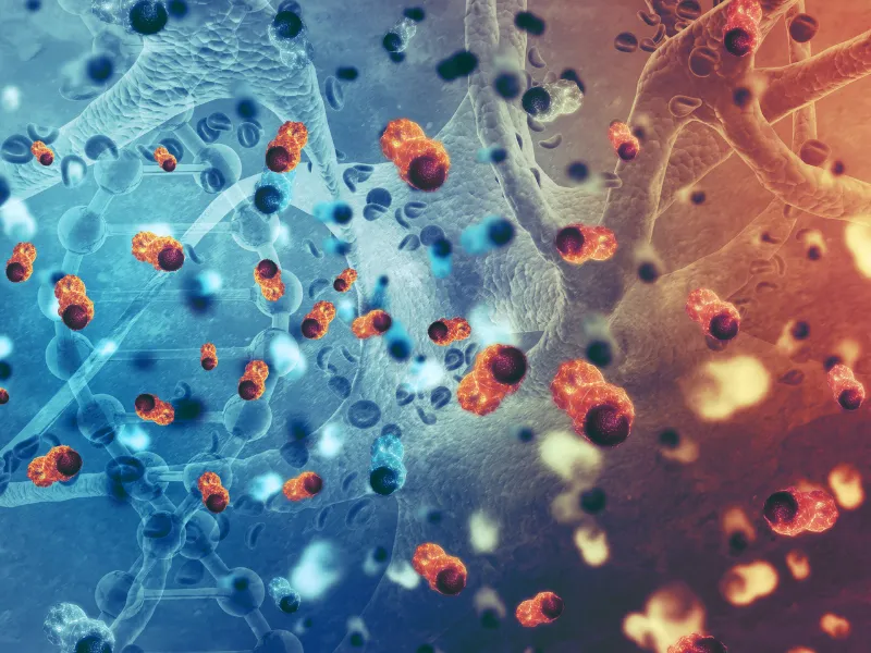 Dysplasiesprechstunde – GynBodensee Immenstaad