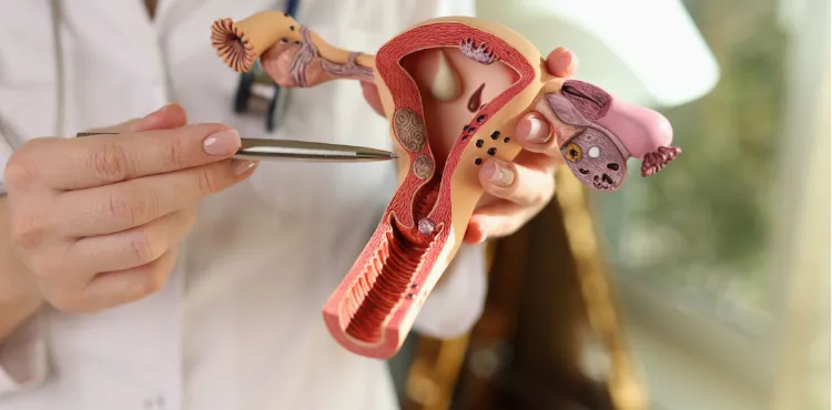 Gynäkologie – GynBodensee Immenstaad