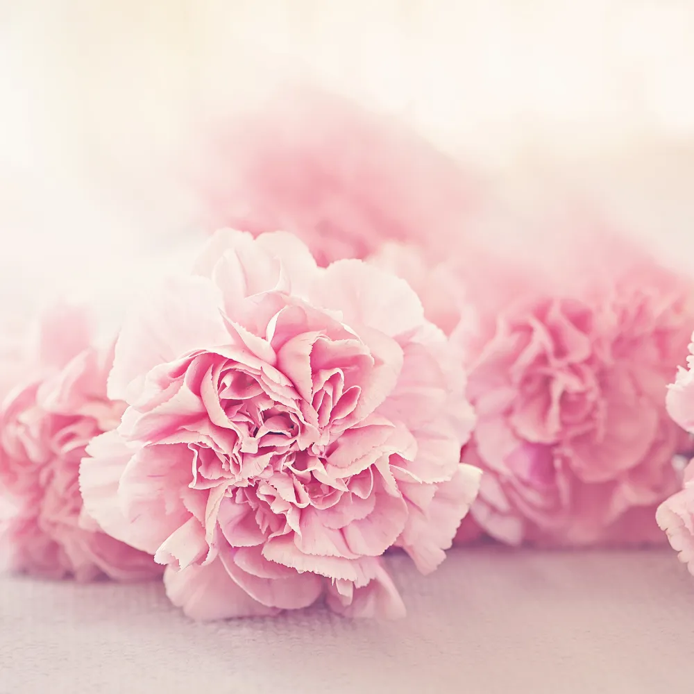 Das Team der gynäkologischen Praxis GynBodensee in Immenstaad